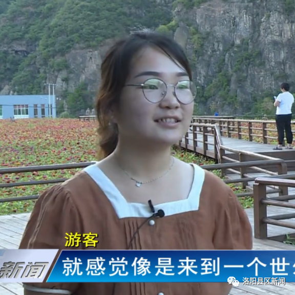 嵩县老道沟:引来乡贤"燕"归巢 增添乡村"新"活力