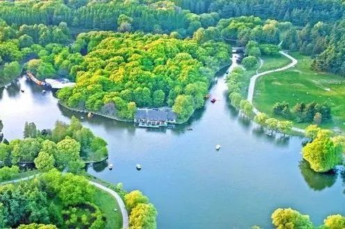 一起去长三角这些森林公园畅快"森"呼吸吧