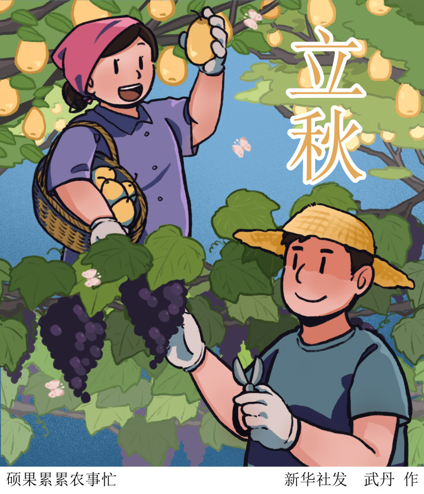 (图表·插画)【二十四节气·立秋】硕果累累农事忙_腾讯新闻