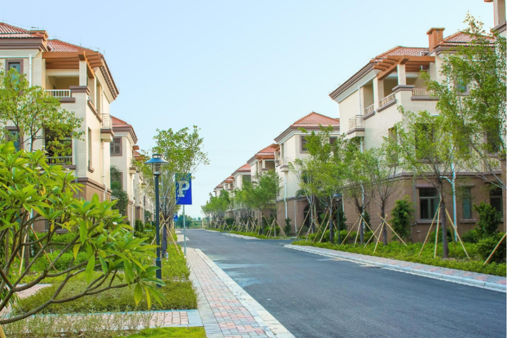 成片联排的别墅南沙这条村的安置区真让人羡慕