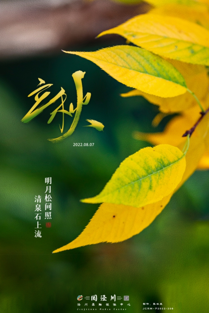 原创海报一叶知秋