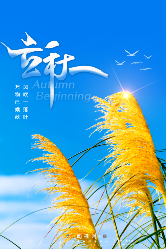 原创海报一叶知秋