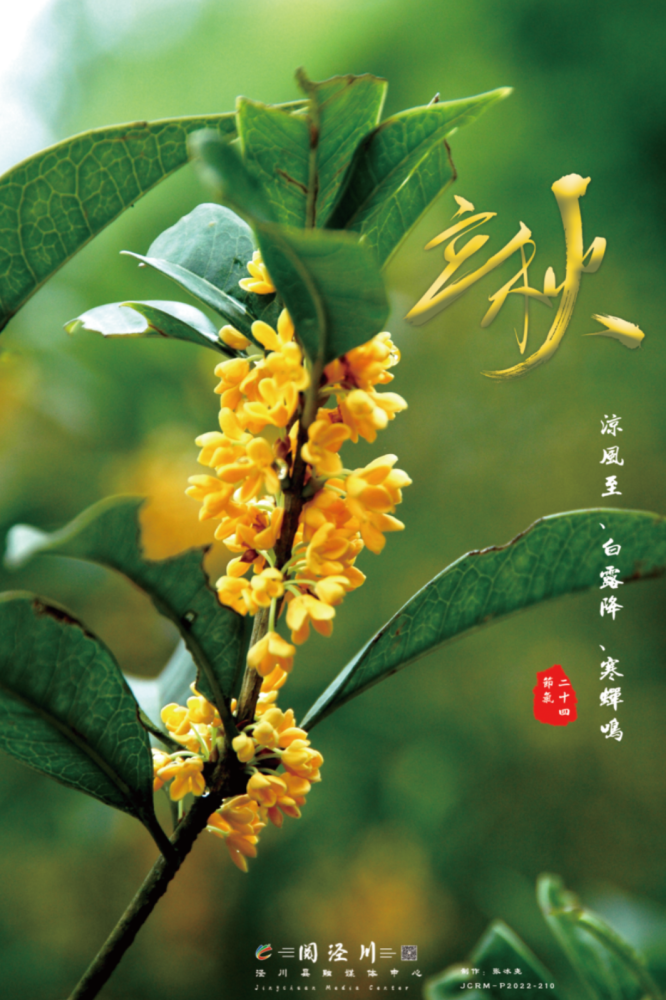 原创海报一叶知秋