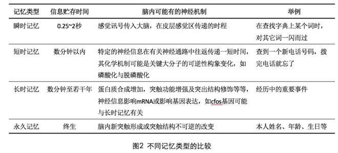 教资你替我去考得了！网友最高评价：教资替我考得