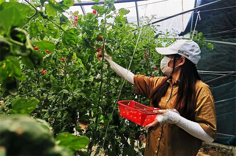 楊屯鎮昭陽莊園,鹿樓鎮沙河果都園等,都是在原有農業產業基礎上增添