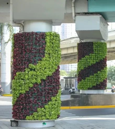 形式多样的立体绿化让徐汇更靓丽(附美图)