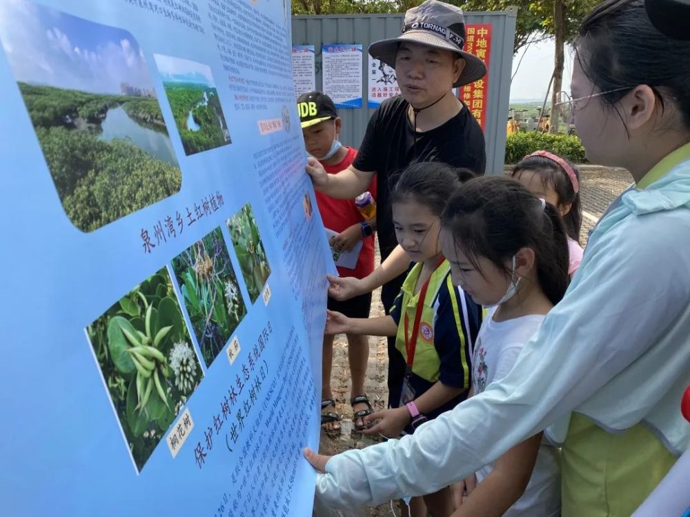 探索湿地奥秘小记者绿色生态公益行参与红树林科普宣传活动