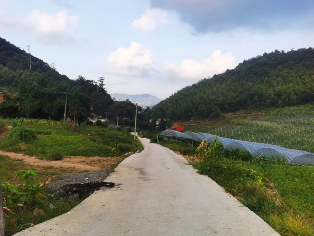 道路湾坞镇沙湾至黑石段隧道崩头山溪北洋非机动车及行人隧道富春二期