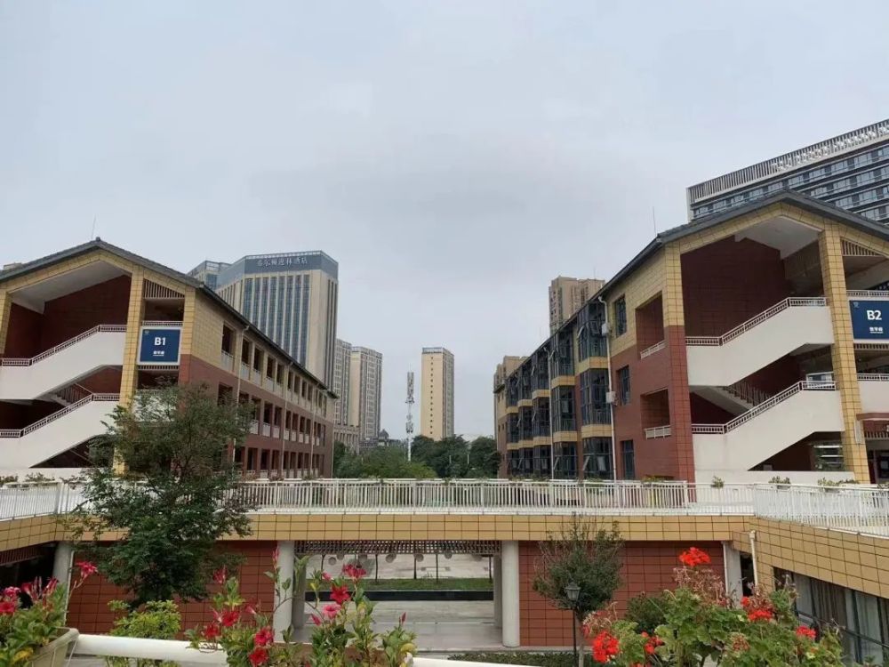 天鹅湖小学扩建计划进展如何?今年能否正常入学?答案来了～_腾讯新闻