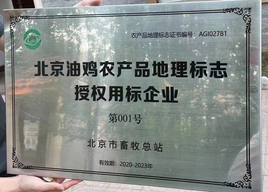 存栏53.6万只北京油鸡保护范围遍布京郊9区