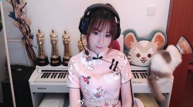 从解说席看owl:赤小兔