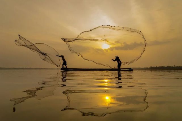 读懂上市公司报告|抓住农林牧渔行业特点,读懂数字背后的故事