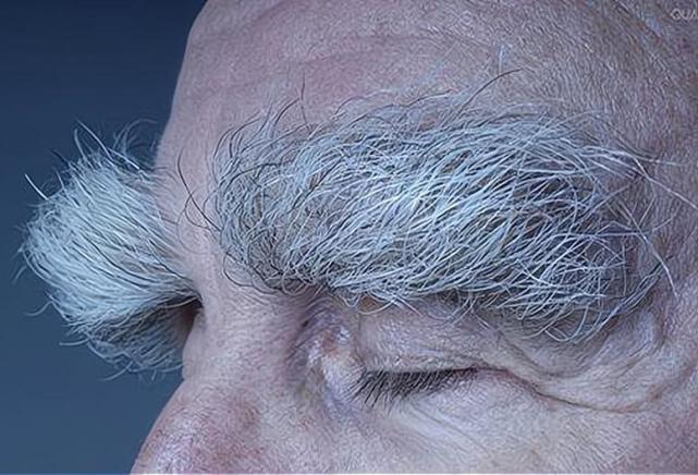 其二,"毫"指的是眉毛上面的汗毛,并不是指