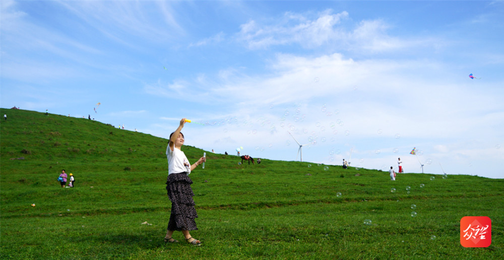 视频我和秋天有个约会带你走进松桃黔东草海