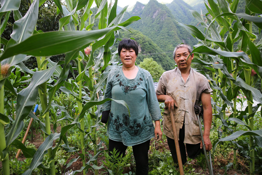 陕西大山里的残疾夫妻:早出晚归形影不离,缺手少腿照样种20亩地_腾讯