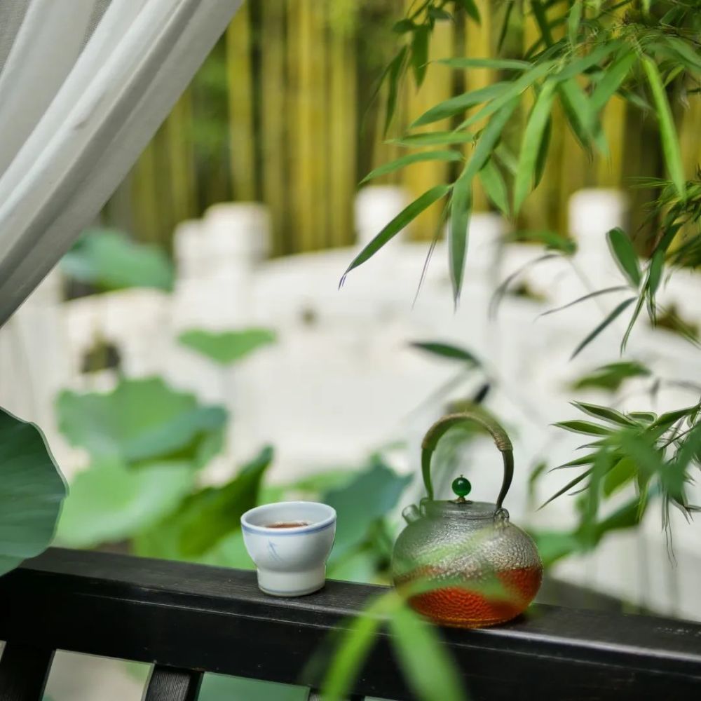 来到酷湘,感受士大夫的生活,一定要先从竹林品茶开始.