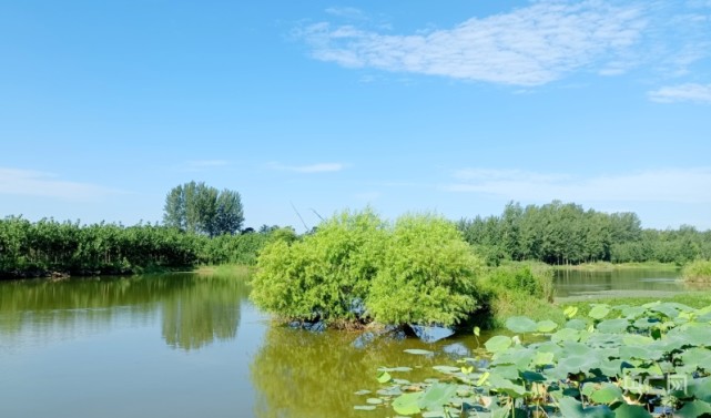 柘城惠济河图片