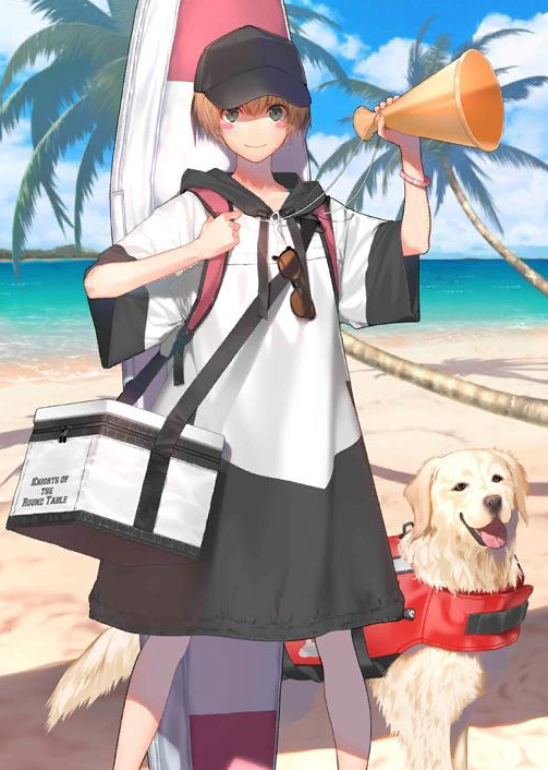 fgo:四星剑阶泳装加雷斯卡面汇总 御主:我想成为加雷斯的狗狗