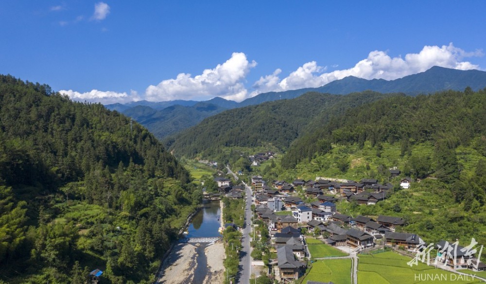 新湖南 新旅游·诗意乡宿丨十里桃林 乡舍盈客_腾讯新闻