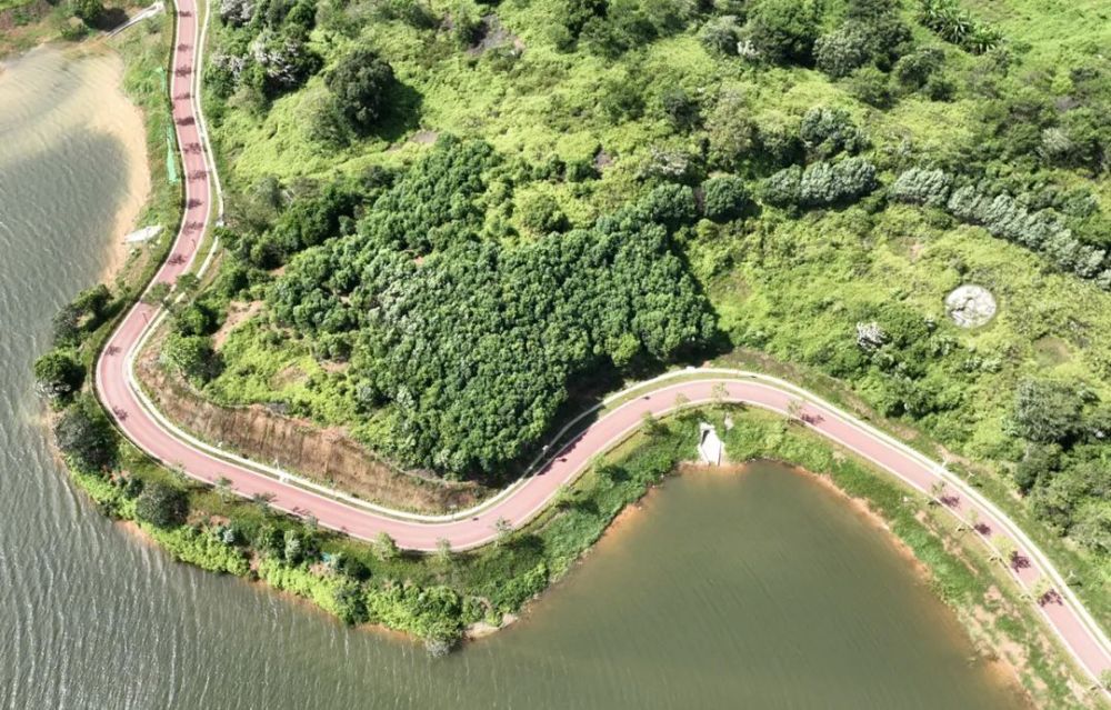 博罗再添一休闲打卡景点!大洞水库环湖绿道即将投用!_腾讯新闻