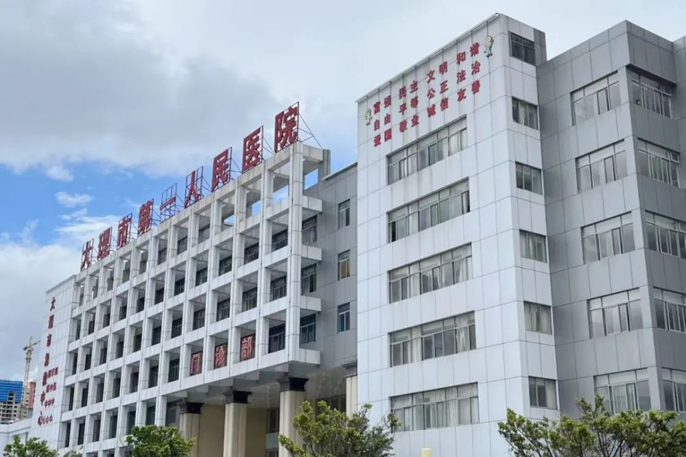 市一院)为牵头医院,大理市第二人民医院,大理市中医医院,大理市妇幼