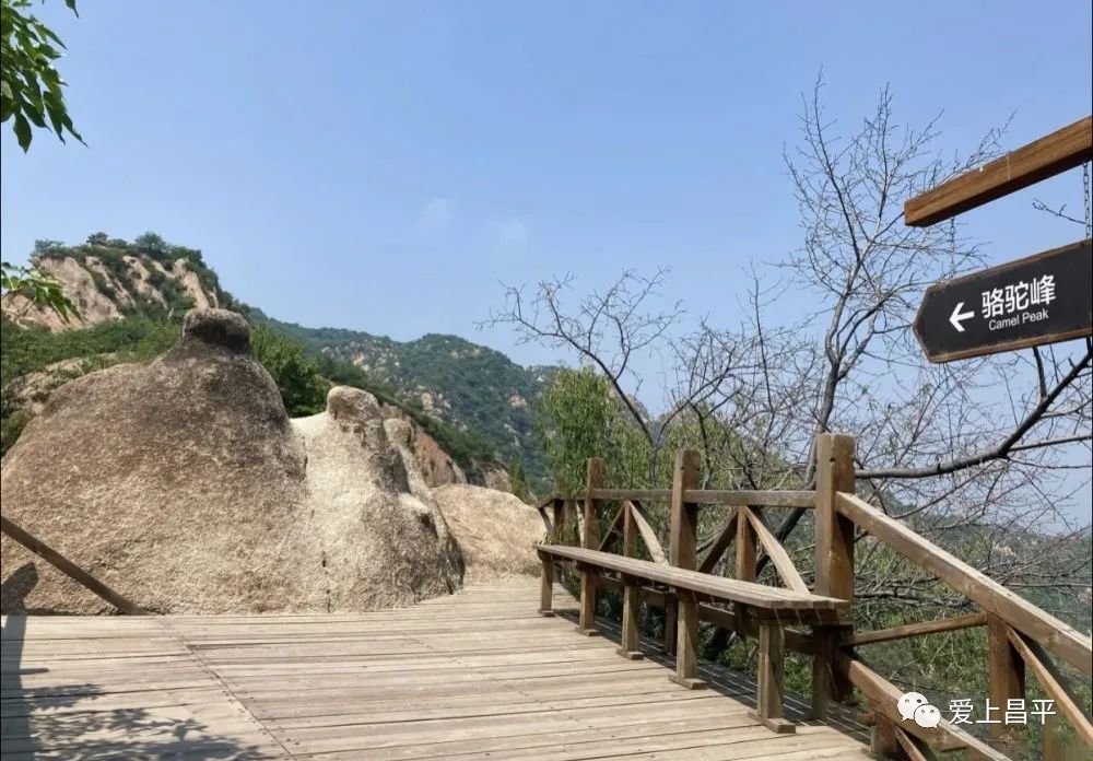 推荐昌平3个绝美爬山避暑好去处!赏花,赏景,戏水,统统都满足_腾讯新闻