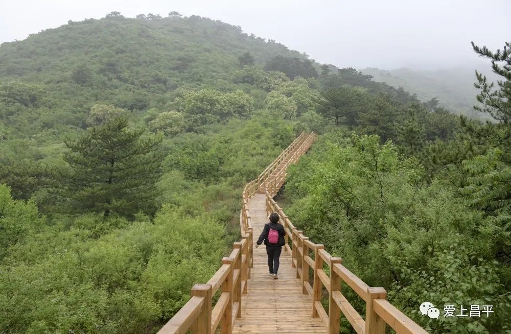 推荐昌平3个绝美爬山避暑好去处!赏花,赏景,戏水,统统都满足_腾讯新闻