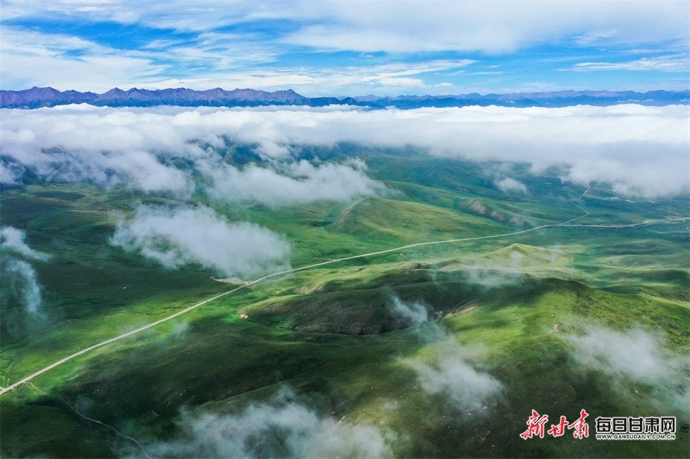 夏日塔拉草原又名皇城草原,位于肃南县皇城镇,南与青海省门源县毗邻