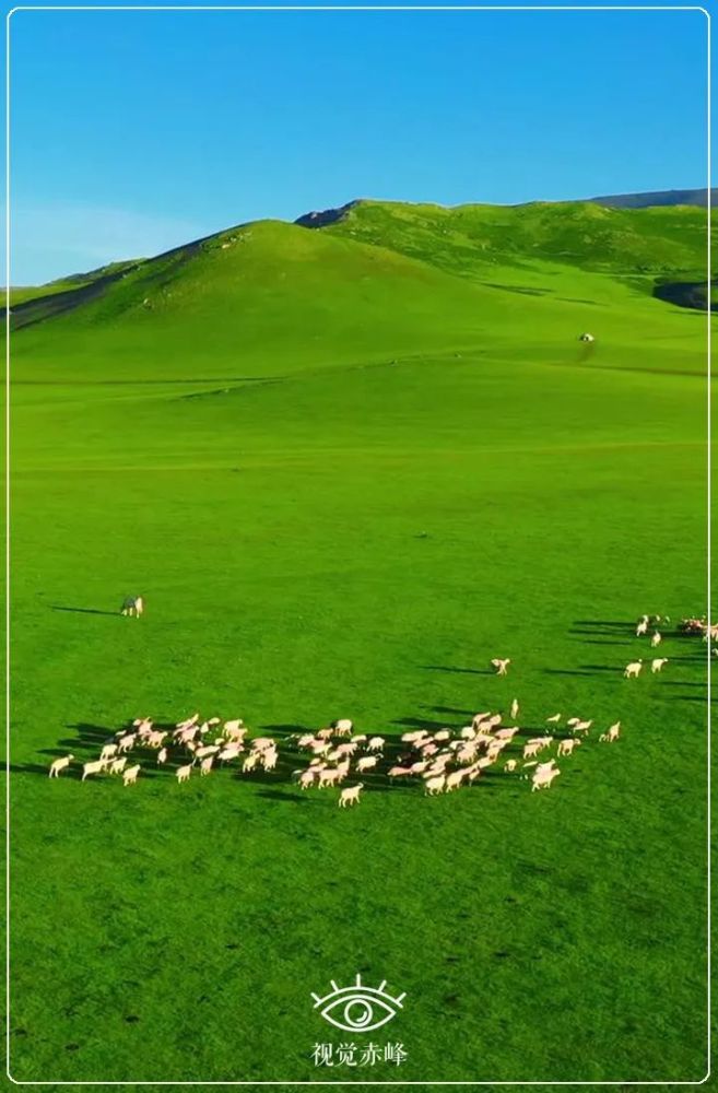 美图丨共游巴林草原_腾讯新闻