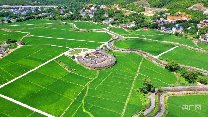 福建上杭庐丰畲族乡万亩烟田换新装