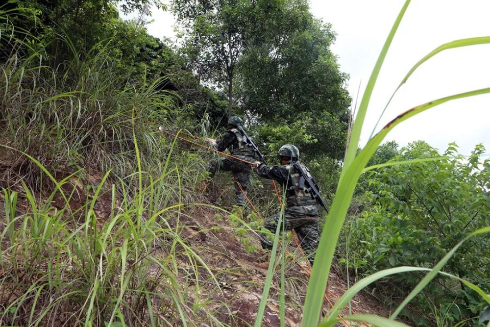 南疆光影｜深山密林砺精兵给餐馆打电话把预约推迟一个半小时英语对话