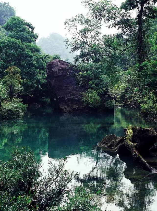 穿越中国最美的原始森林你会看到峰丛,洼地,漏斗,暗河等生态奇观沿着