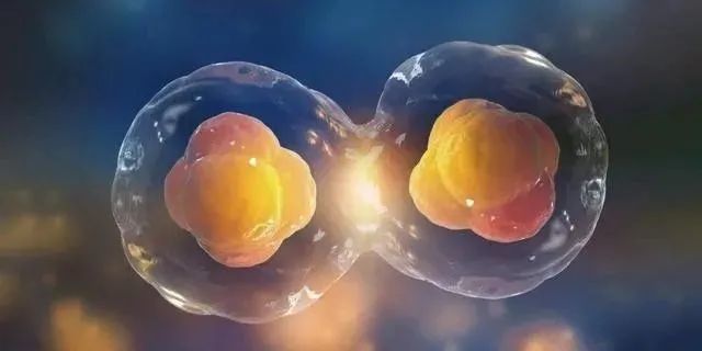 细胞存储：生命档案的秘密武器