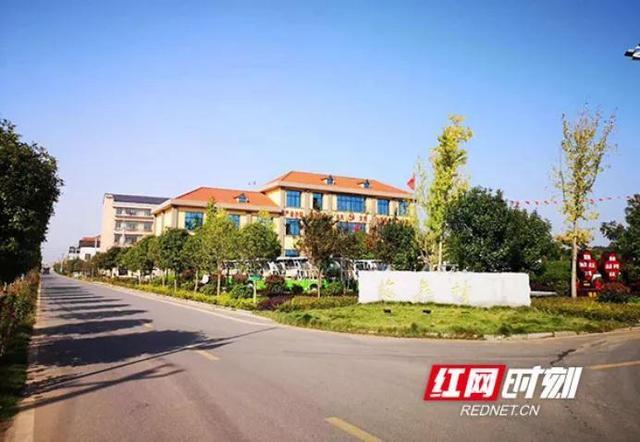 集体经济百村|衡阳县梅花村:"农旅融合"助振兴 美了村子富了村民