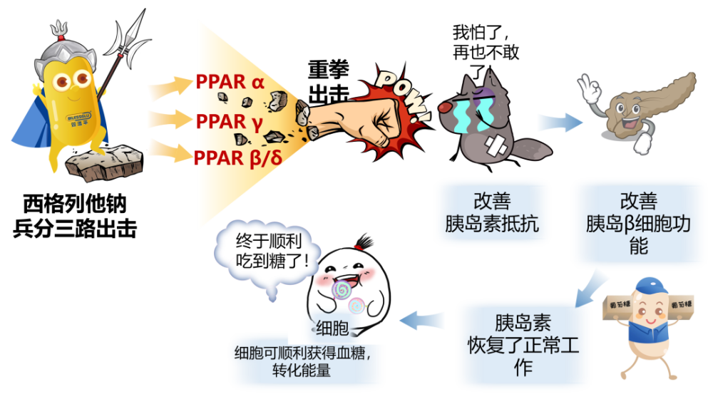 西格列他钠改善胰岛素抵抗既往的增敏剂药物在安全性方面尚有明显的不