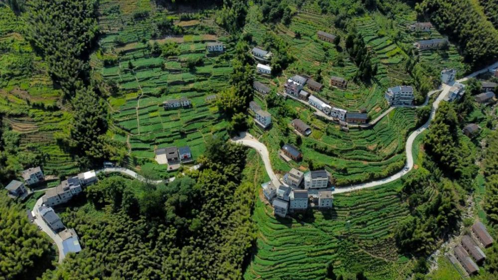 深老边远看发展"采访采风活动第二站走进歙县狮石乡狮石村
