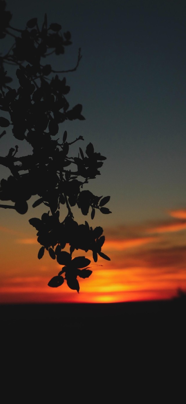 落日黄昏壁纸|凉阴一鸟下,落日乱蝉分.