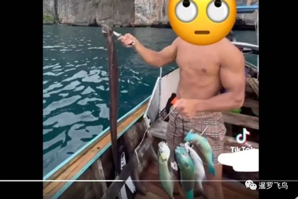 在泰国钓鱼晒视频，外国游客涉非法捕捉濒危鱼类被查，或遭遣返