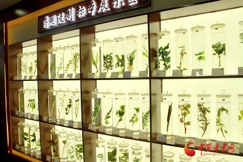 抓实链长制 奋进十四五丨华亭:游"百草园" 话"致富经"_腾讯新闻