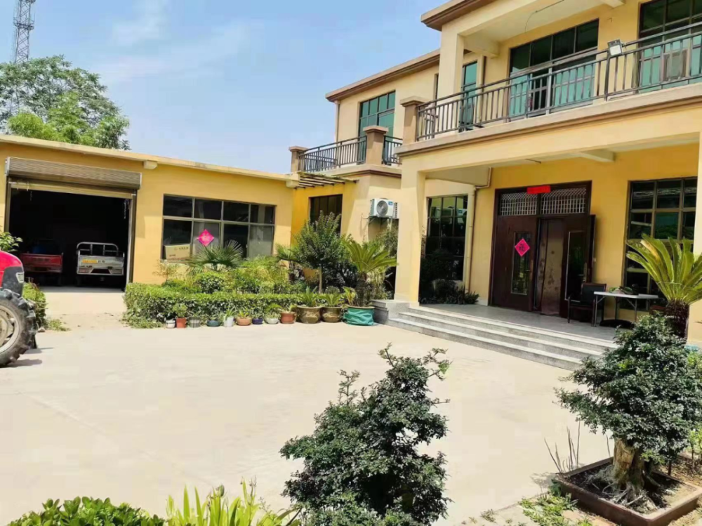 宿州市二季度"美丽庭院"示范户典型展示(砀山篇二)_腾讯新闻