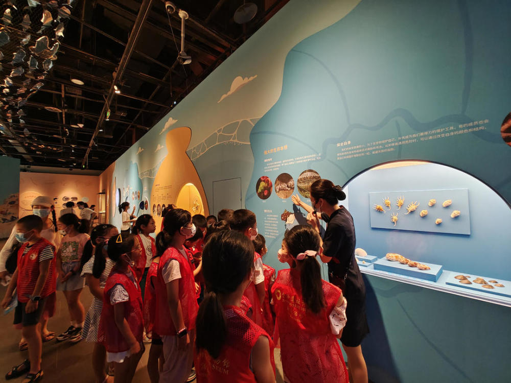 开运动会听讲座画海贝周末逛博物馆好热闹
