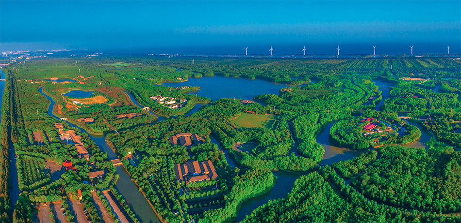 全长43公里,上海奉贤海湾镇正在打造"最美休闲马拉松道"_腾讯新闻