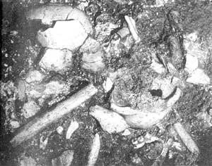 头盖骨化石的秘密：消失的部位，很可能被食人魔吃了