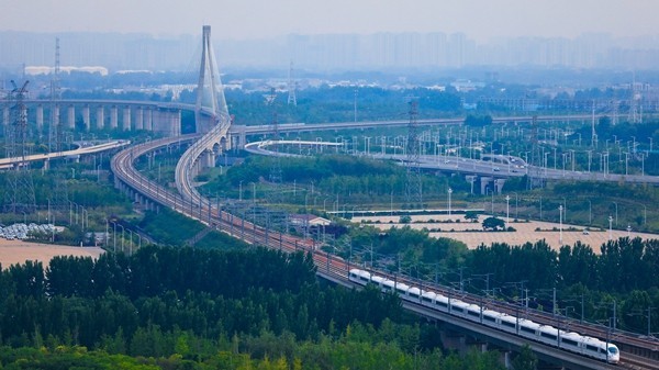 去高鐵廊道打卡吧!抓住鄭州夏末最後一縷綠色