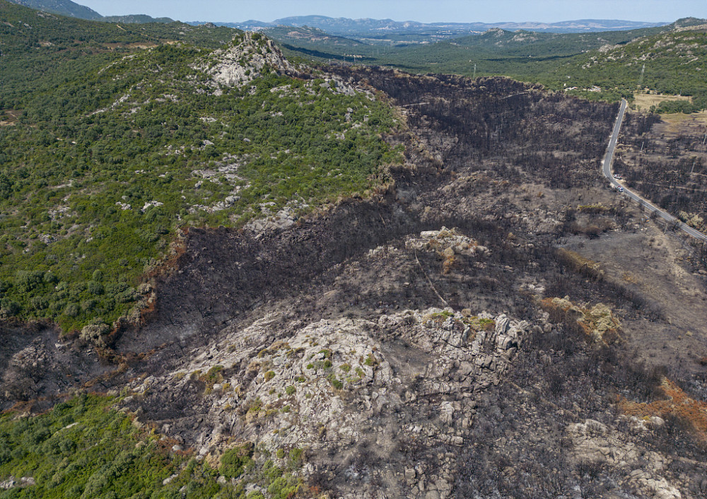 66万公顷被烧！今年欧洲林火毁地面积创新高