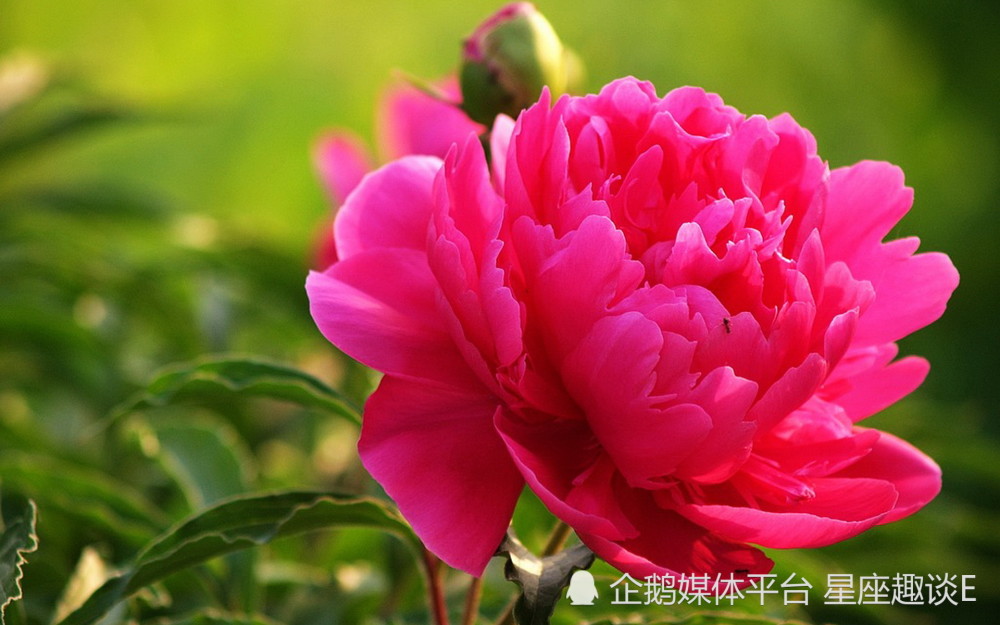 8月16日 22日星座运势 深思熟虑 扬眉吐气的四大星座 腾讯新闻