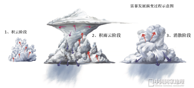 根据形态和组织结构,雷暴一般可分为普通单体雷暴(简称单体雷暴),多