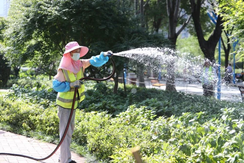 入夏浇水65万吨洪山园林确保城区绿化喝饱水