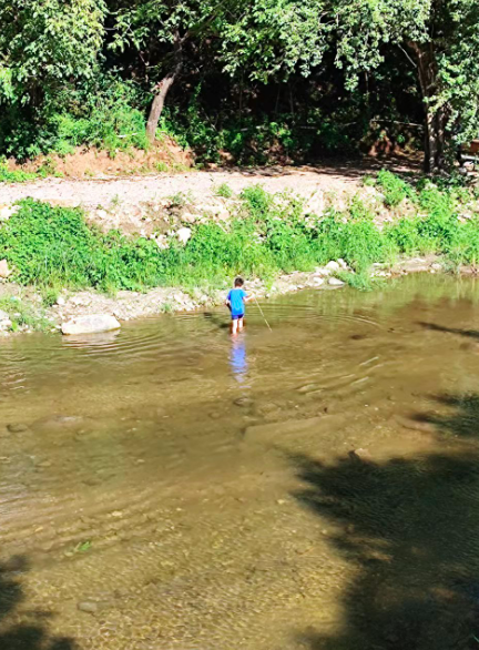 河道里露营，矿坑边打卡……藏着危险的野景点如何变网红？最珍贵的礼物满分作文