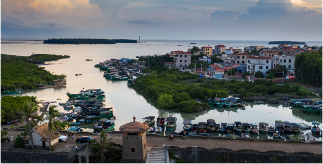 这个隐藏在小镇里的水上森林,你肯定没去过